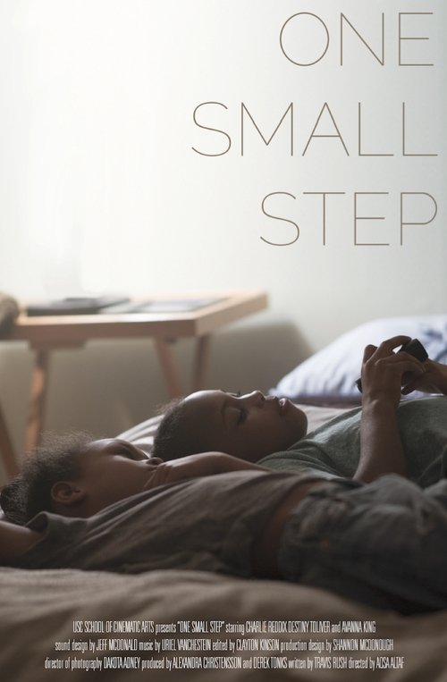 One Small Step 2017 One Small Step 2017