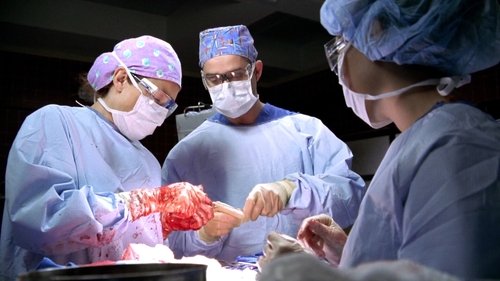 ER: Plantão Médico: 9×13