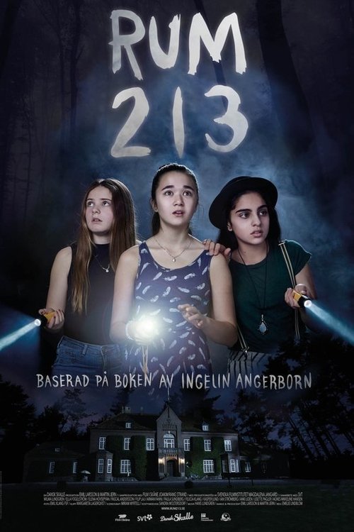 Rum 213 Streaming VF