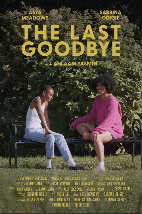 The Last Goodbye poster