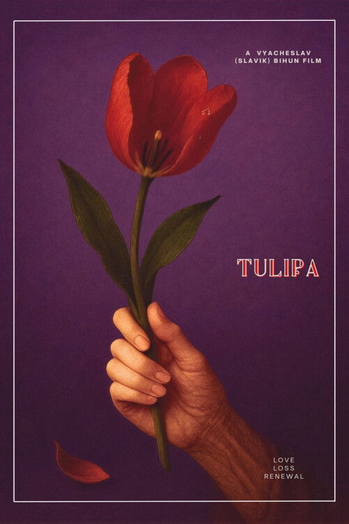 Tulipa
