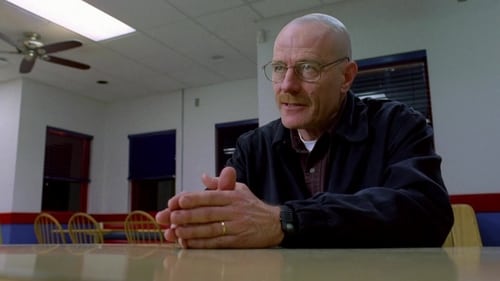 Breaking Bad: 2×11