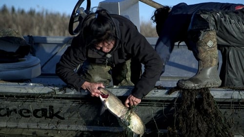 Poster della serie Life Below Zero