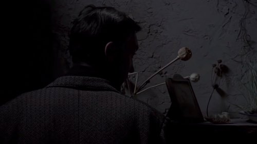 Tarkovsky's Napes