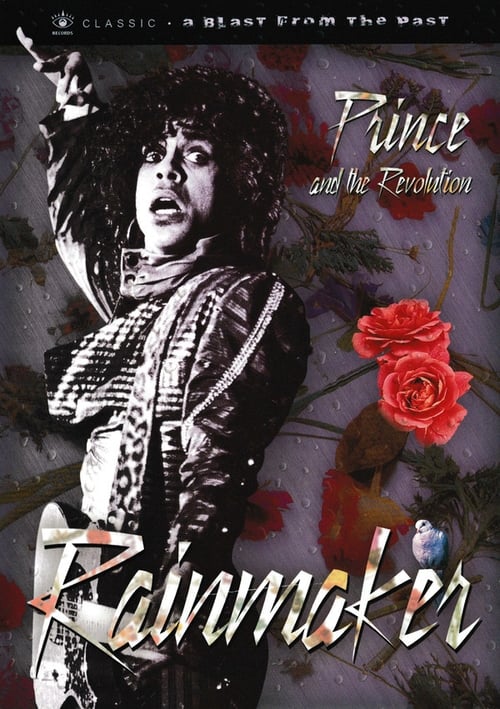 Prince and the Revolution: The Makings Of Rain (1983) poster