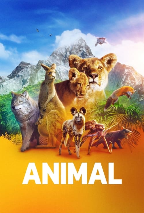 Animal poster