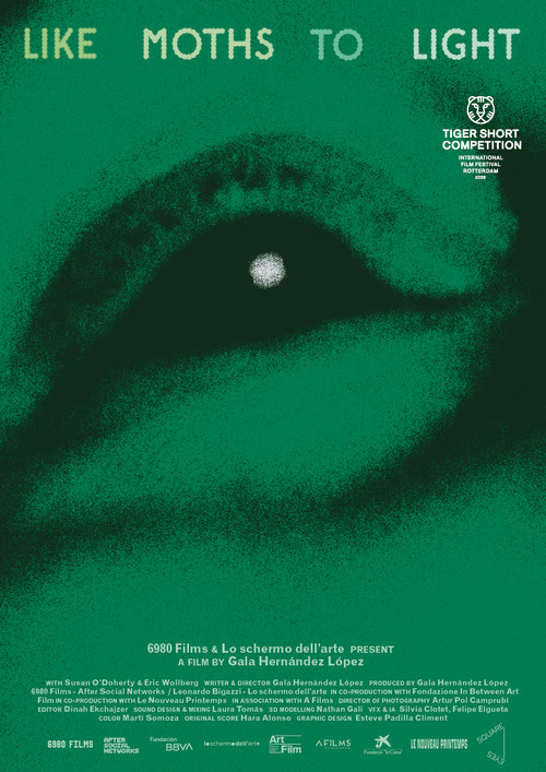 Poster of like moths to light