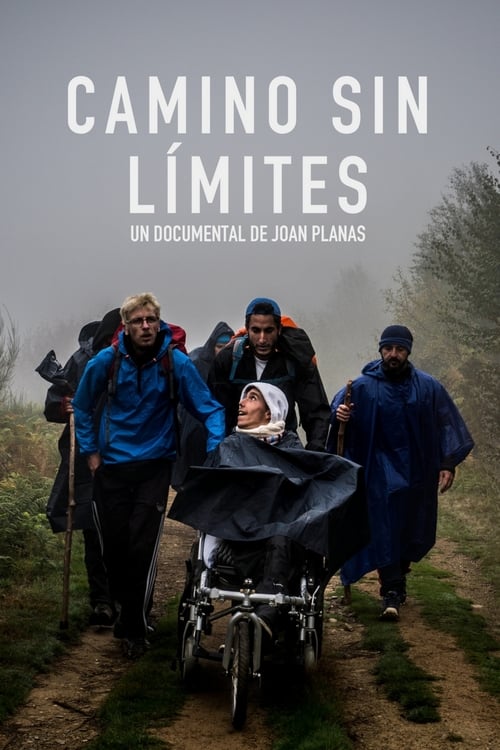 Poster Camino sin límites 2017