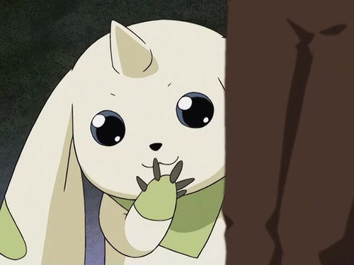 Digimon, Digimon Everywhere