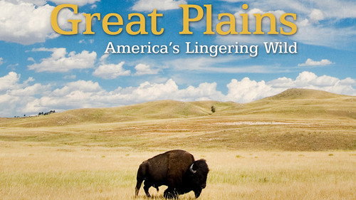 Great Plains: America's Lingering Wild