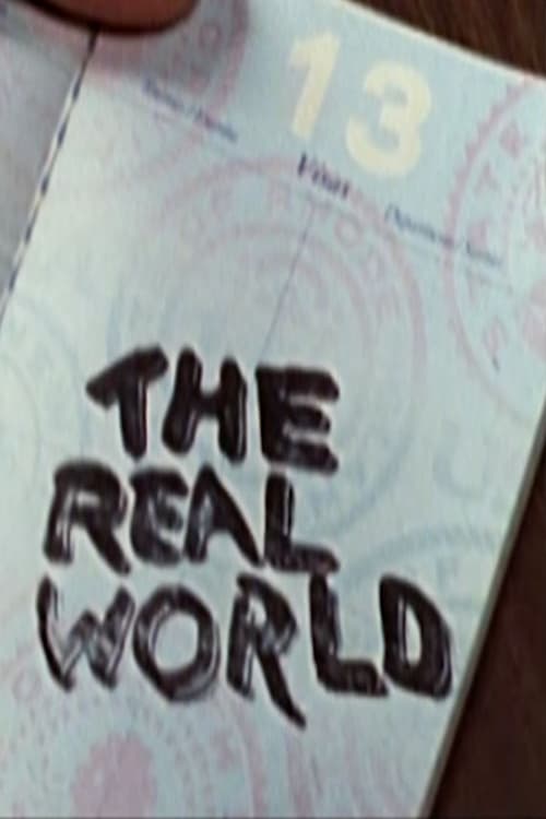 The Real World, S13 - (2003)