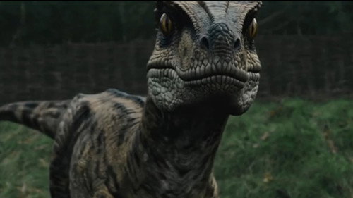 Raptor Attack still