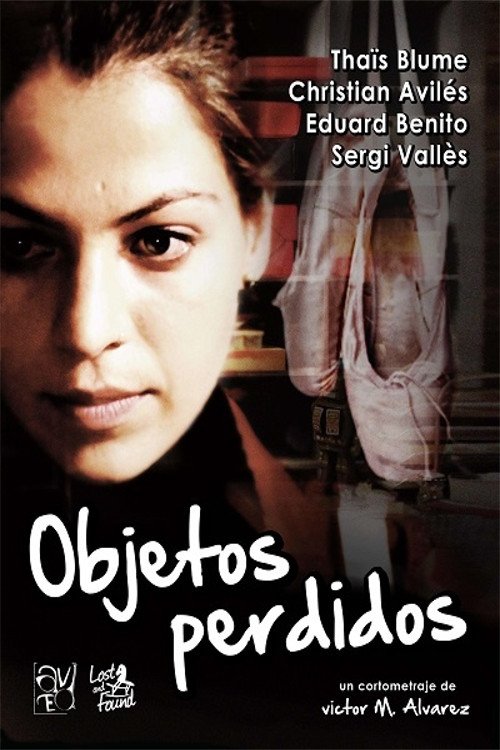 Objetos Perdidos (2014) poster