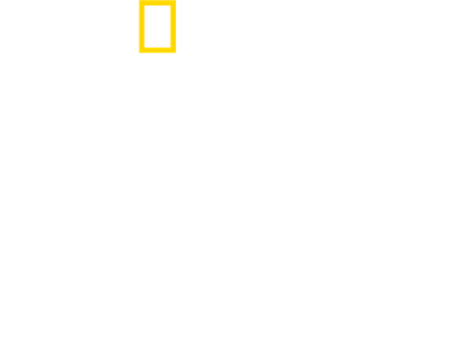 Tucci na Itália