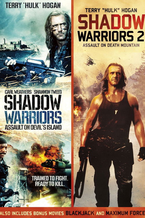 Pòster de Shadow Warriors Collection