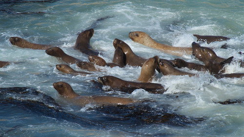 National Geographic: Nature Untamed Bild 3