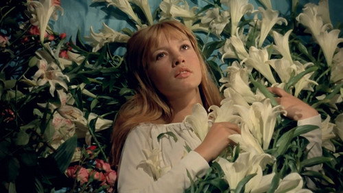 The Demise of Father Mouret