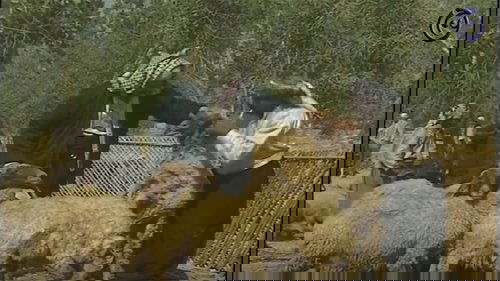 Image de l'épisode 30