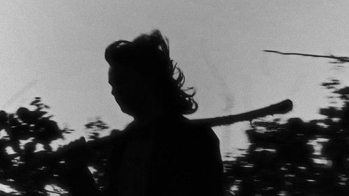 backdrop The Film of All Time