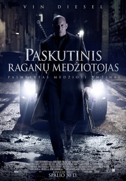 The Last Witch Hunter poster