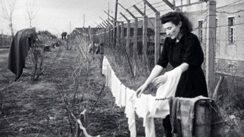 Les survivants, l'impossible départ après la Shoah