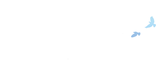 The White Olive Tree