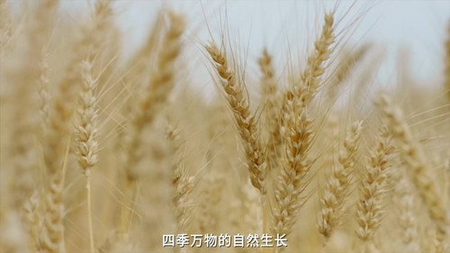 如此有面 - Season 1 Backdrop Blur
