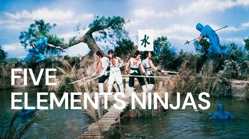 Five Element Ninjas