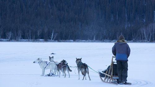 Poster della serie Life Below Zero