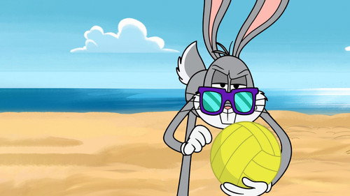 Beach Volleyball