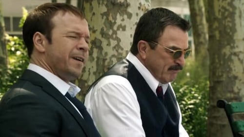 Blue Bloods – Sangue Azul: 2×2
