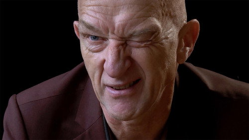 Portrait of Olivia de Havilland