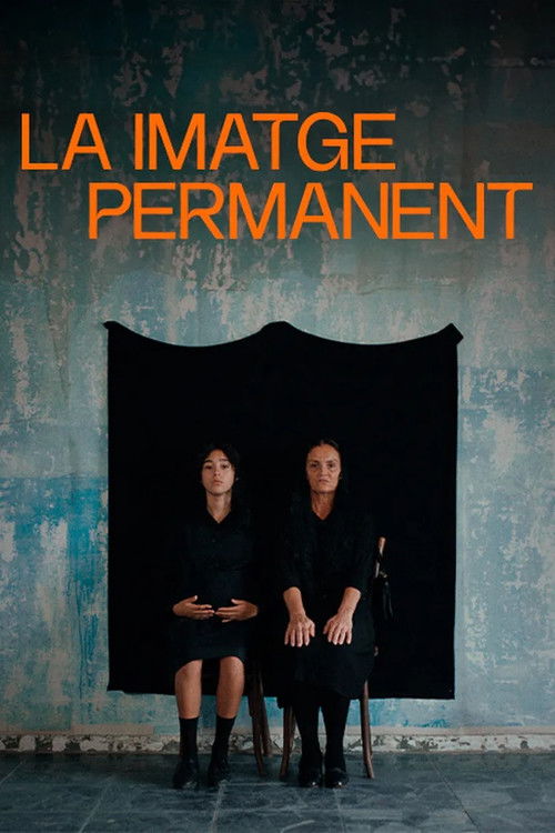 The Permanent Picture poster