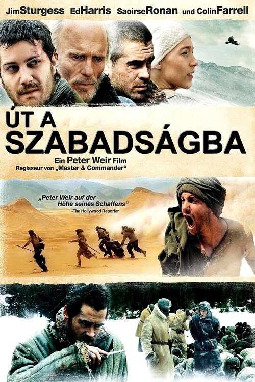 Posters