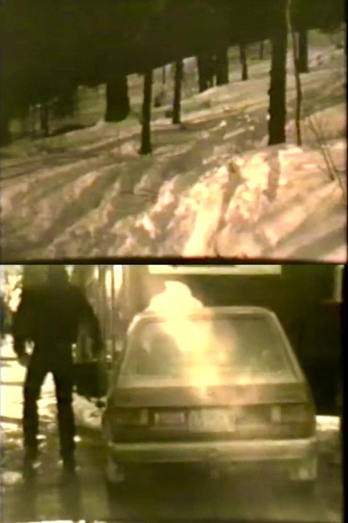In Search of the Goonie Monster