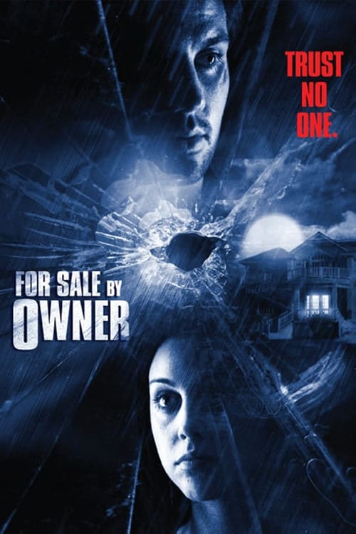 For Sale by Owner Movie Poster Image