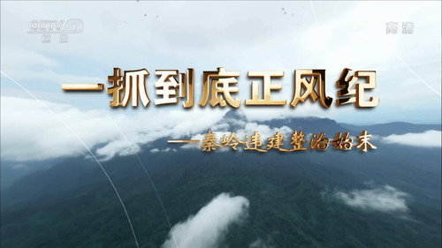 一抓到底正风纪—秦岭违建整治始末 Backdrop Blur