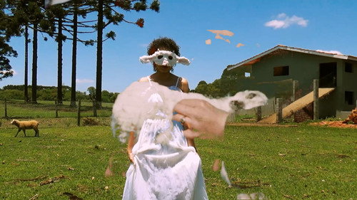 cecelia still