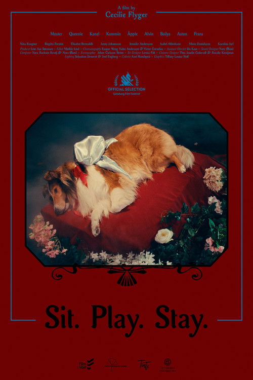 Sit. Play. Stay. poster