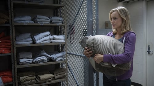 Orange Is the New Black: 1×1