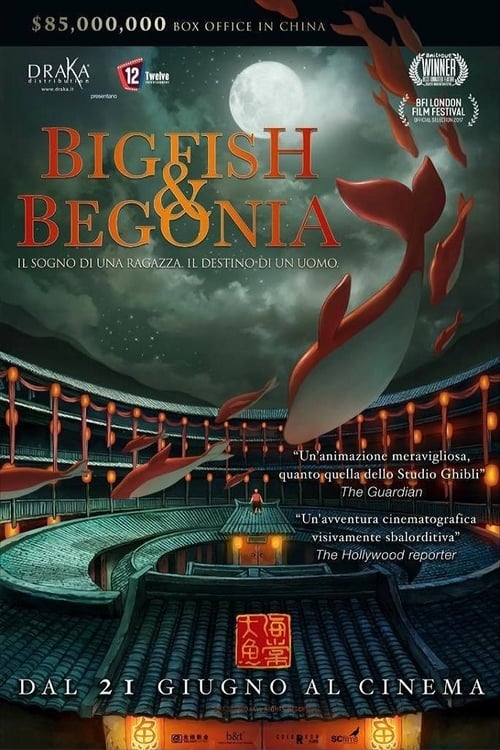 Big Fish & Begonia poster