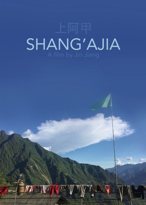 上阿甲 movie poster player