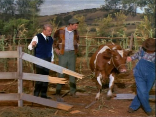 Green Acres, S05E19 - (1970)