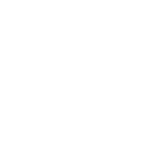 The Beach Boys