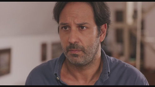 Poster della serie The Cesaronis