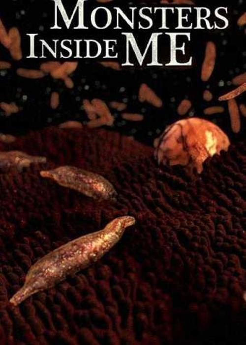 Where to stream Monsters Inside Me Season 1