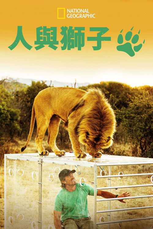 Man V. Lion poster