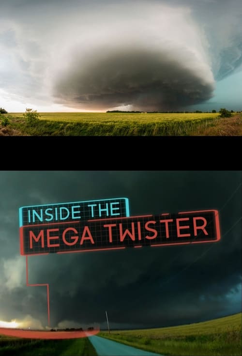 The tornado that struck El Reno, Oklahoma, on May 31, 2013, defined superlatives. It was the largest twister ever recorded on Earth.