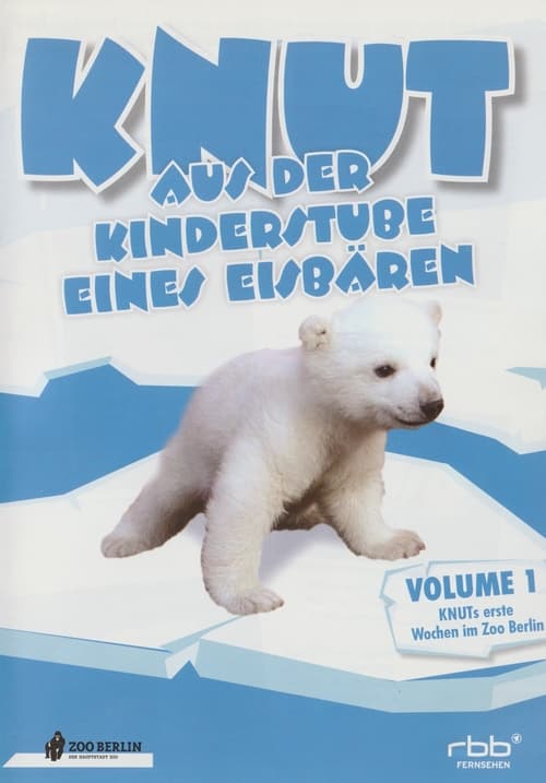 Knut - Aus der Kinderstube eines Eisbären Movie Poster Image