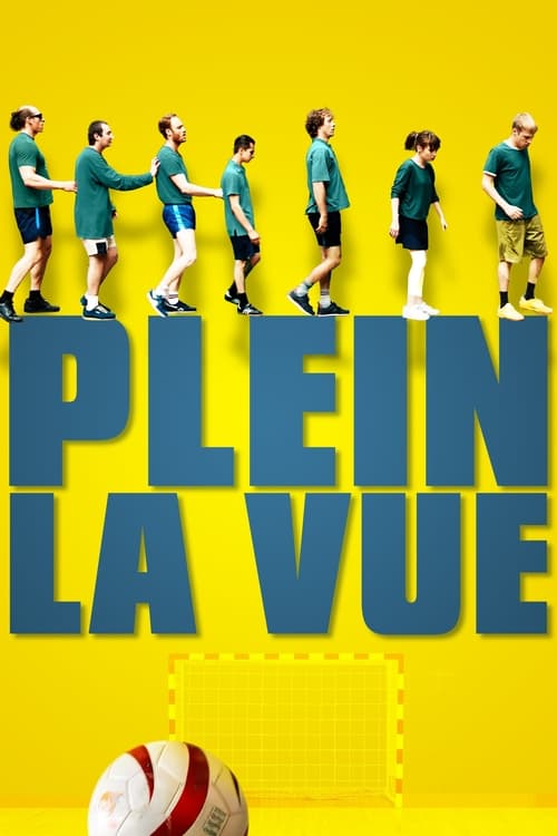 Poster Plein la vue 2019